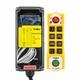 Wireless Remote Hoist Controller For F23-8s(f)industrial Cranes 24v-380v Quality